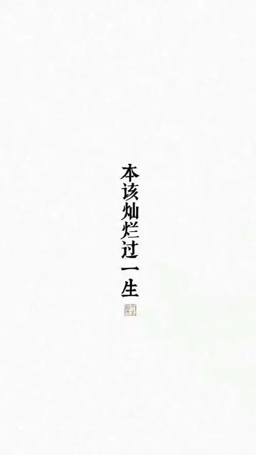 各种类型文字系列白底黑字