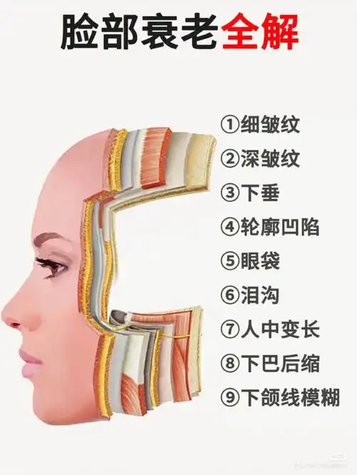 抗衰分层分析层层解决问题