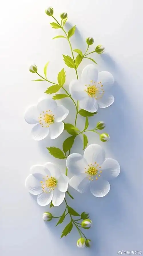 清新治愈花朵锁屏壁纸