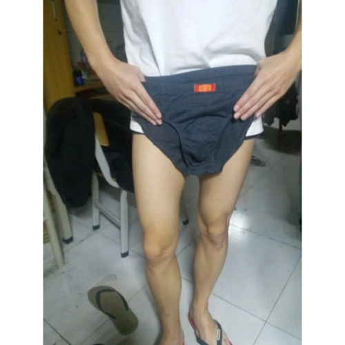 【买3送1,需拍4条】浪莎男士三角内裤 舒适吸湿透气短裤 性感u凸潮男