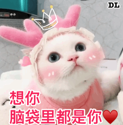 轮到_说话_这里_时候_什么表情你们城里人一天到晚什么都不用干的