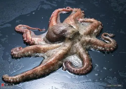 > 恐怖,外星人入侵