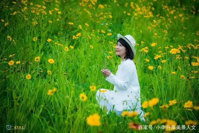 那一片金鸡菊花风景,让无数人陶醉其中!