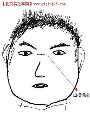 鼻背纹横纹面相分析