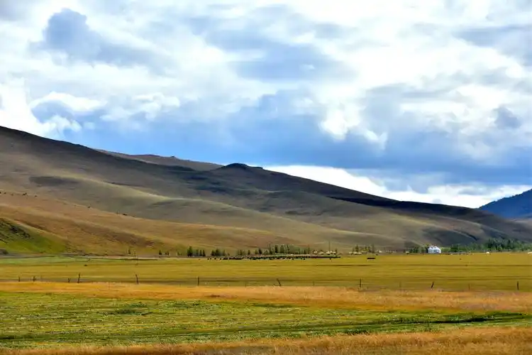 草原类型很多,诸如草甸草原,典型草原,荒漠草原及高寒草原等分类,如