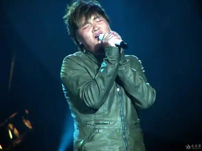 70后的我心目中的内地十大男歌手top10一家之言,不喜勿喷
