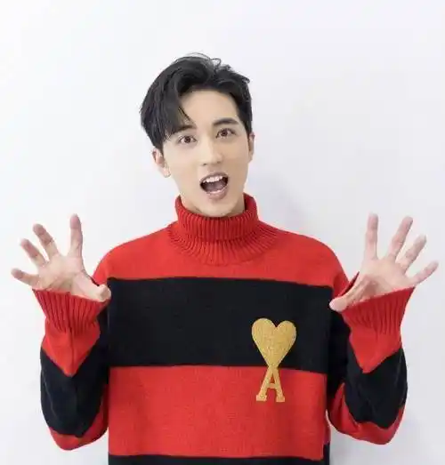 许魏洲回应结婚脱粉:谢谢你们陪我成长,理解所有的离开_妻子_黄景瑜