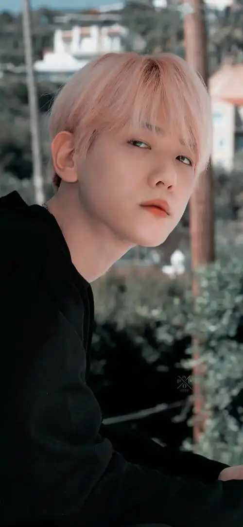 手机壁纸边伯贤神仙背景1评论8更多