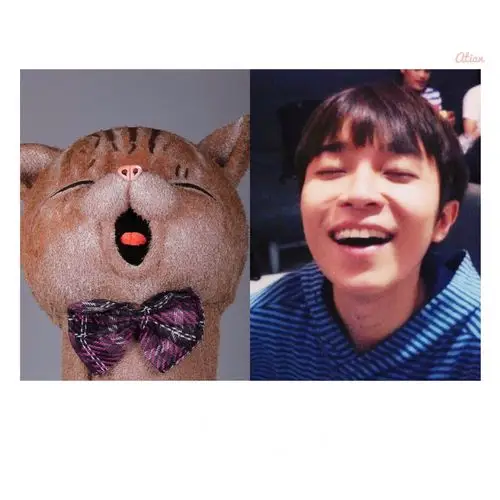 吴青峰 你要一直开心呐 像猫咪一样