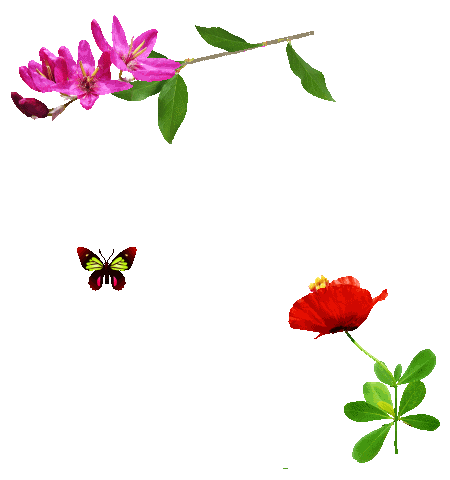 450_480gif 动态图 动图