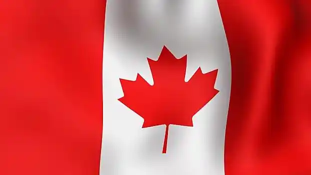 加拿大国旗,摆动,不同,时期,移动,特写,旗帜