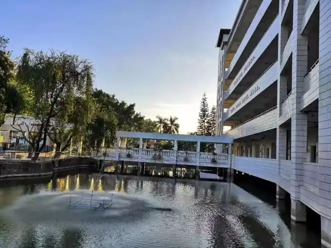 莲韵飘香贯长虹 一品莲实味正浓 ——广州市番禺区石楼中学2018"校庆