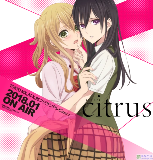 citrus柑橘味香气