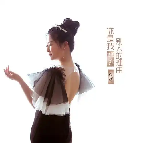 你是我放弃别人的理由 (dj版)作词:张俊英作曲:赵洋dj制作:阳山伟伟