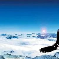 磅礴大气的头像_微信头像图片大全