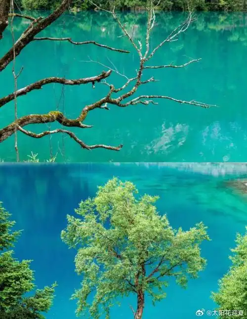 水是九寨沟的灵魂,清澈见底,碧波荡漾