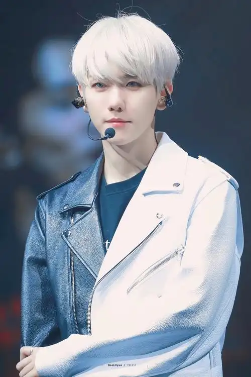 exo边伯贤高清壁纸白发的我爱了78