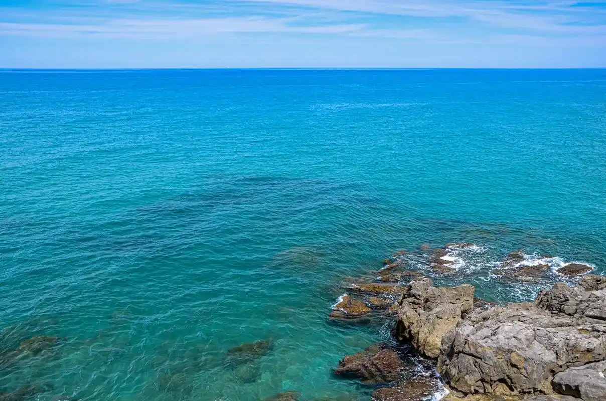 an 2021中文版中文版下载-animate软件下载手机版