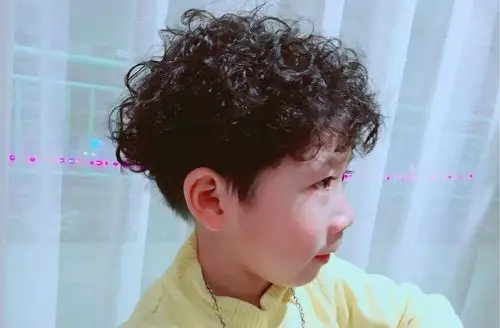 2018狗年流行"泰迪卷