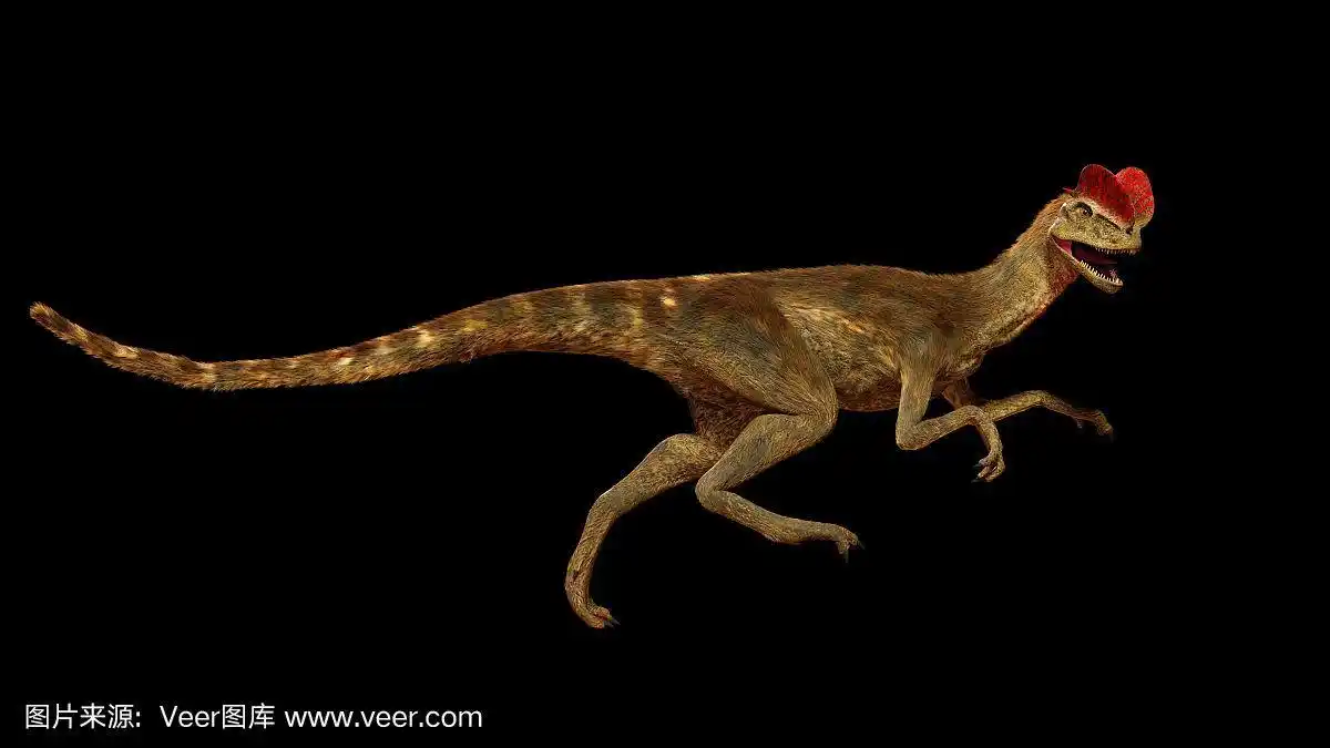 早期侏罗纪时期的兽脚亚目恐龙(3d插图,黑色背景)