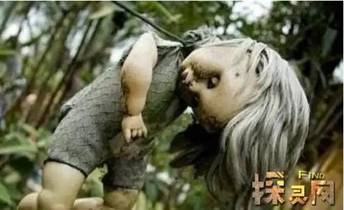 墨西哥娃娃岛的娃娃会杀人吗有人死在娃娃岛吗有诅咒