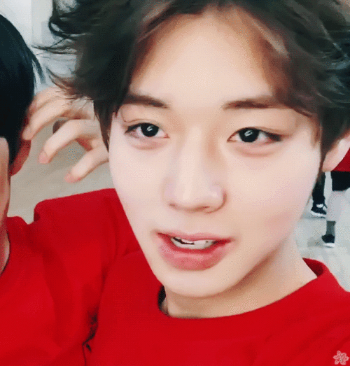 0202年了,朴志训长残了吗,进来看标准桃花眼