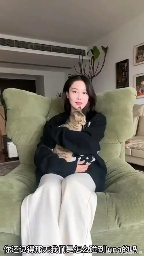 张馨予何捷婚房内景##张馨予婚房内景