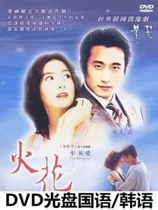 韩剧 火花dvd经典爱情剧 国语/韩语高清版主演:李英爱光盘碟片