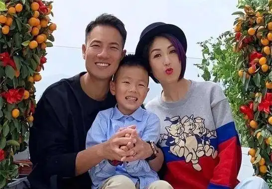 港乐天后杨千嬅难得诉苦,被网暴有家难回的五年