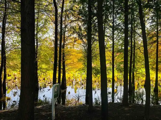 九月走园——昆山森林公园