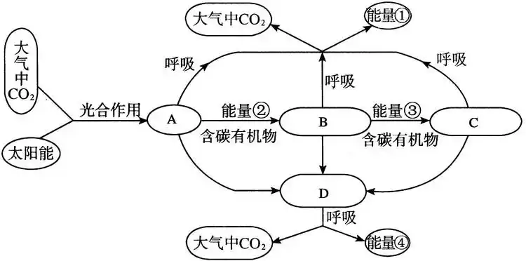 分析以下生态系统的能量流动和物质循环的关系简图,不能得到的结论是