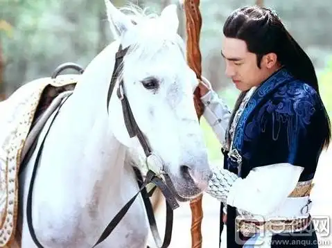 武神赵子龙第6集出现的白马是赵子龙的坐骑吗