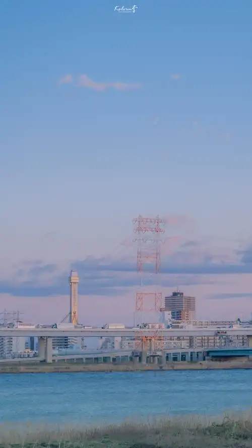 风景壁纸/东京 ins风 樱花