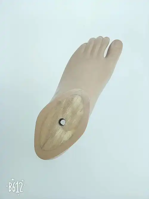 假肢人造肢体植入 sach 脚用于 sach 脚适配器