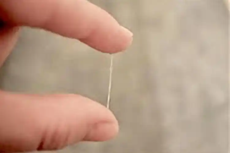 排卵期和白带不可不知的关系,想要抓住排卵期,白带给信号别错过