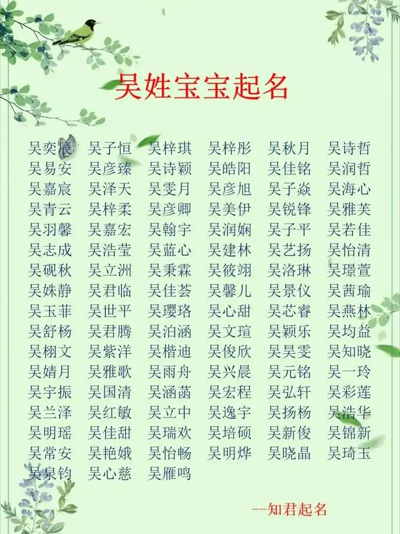 宝宝名字大全精选|吴姓男孩女孩起名改名 姓吴男孩女孩名字大全精选