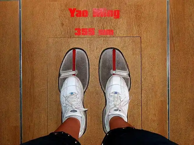 nba巨人大脚分4个等级姚明53码a级杜兰特s级那sss有多猛