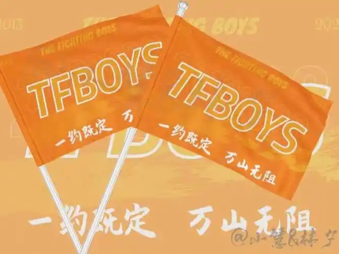 95tfboys|王俊凯 王源 易烊千玺 应援大旗