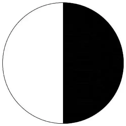 这个圆圈里要么全部被黑色填满,要么全部被白色填满