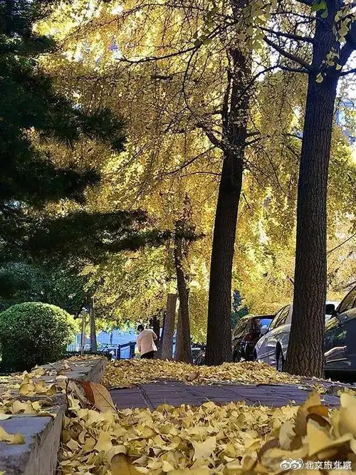 东花市街道黄昏美景