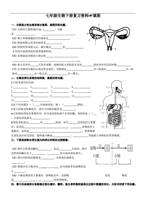 七年级生物下填图题(识图题)总复习