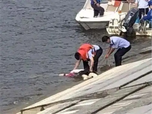 湖南两少女水库游玩不慎溺亡水库管理者也要承担责任