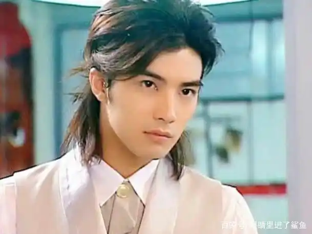 贺军翔到底帅在哪里?