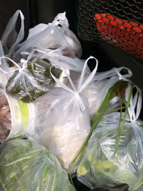 带着小汤圆早点回家买菜