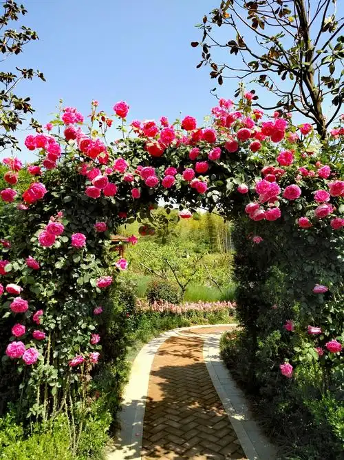 花谷奇缘最美花园