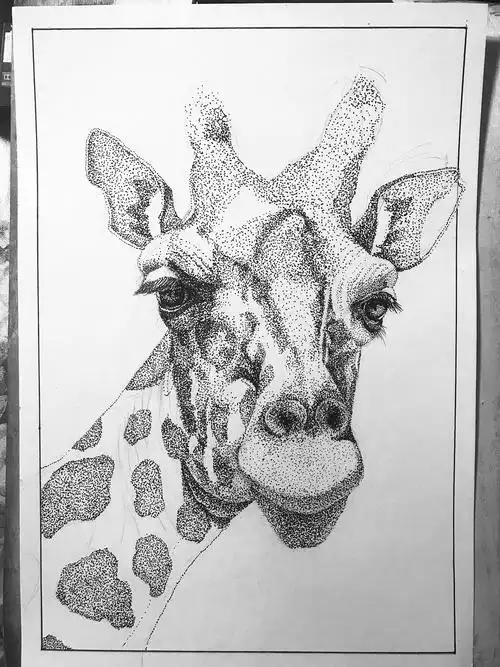 针管笔点绘长颈鹿1f9921f9921f992