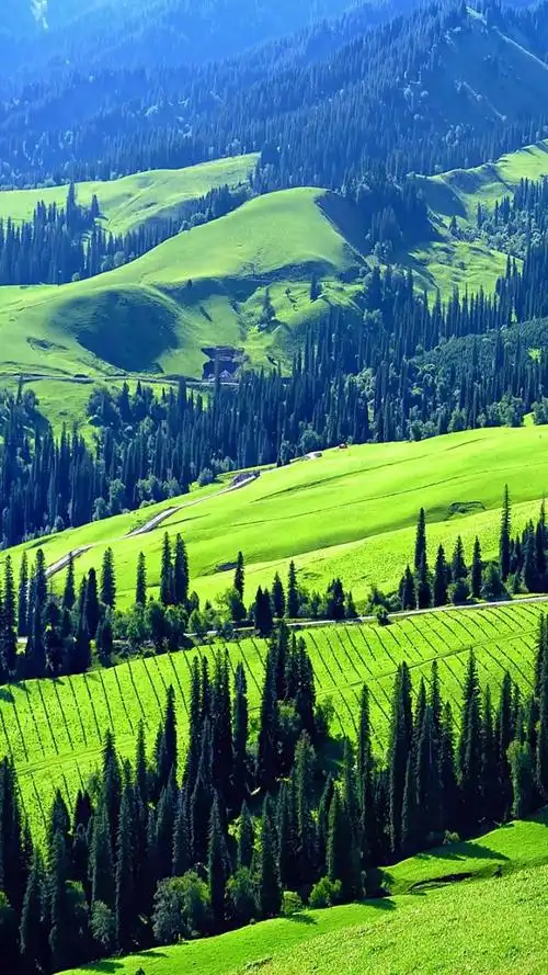 大自然的无限风光动态壁纸_高清竖屏视频下载-火萤壁纸