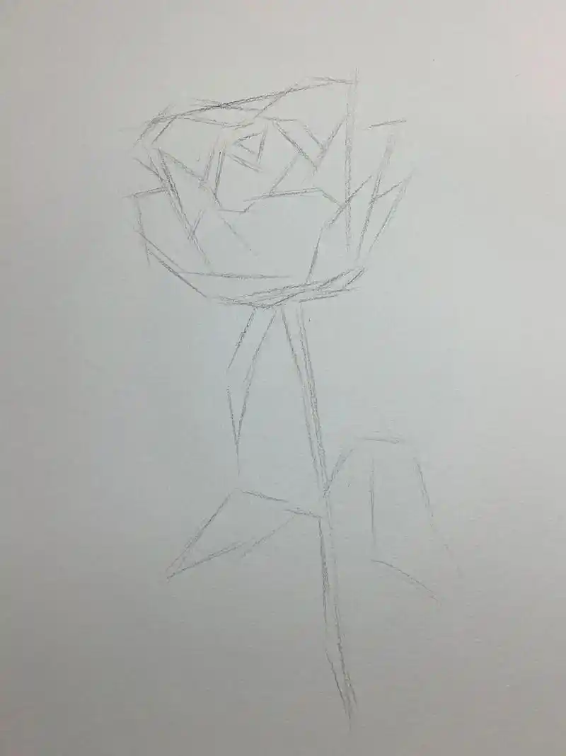 超详细玫瑰花步骤过程来咯! #素描 #素 - 抖音