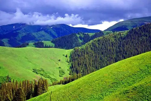 其它 壮丽峻岭高山草原 写美篇  美景横贯天山,汇聚奇特惊艳.