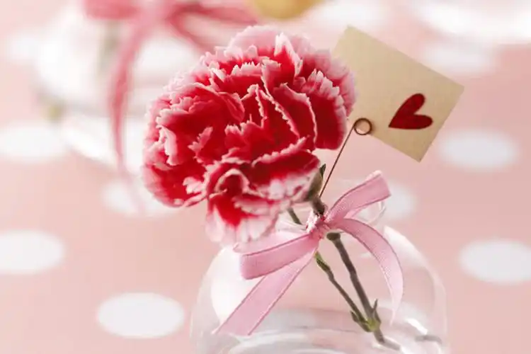 唯美粉色康乃馨花束壁纸_母亲节的最好礼物